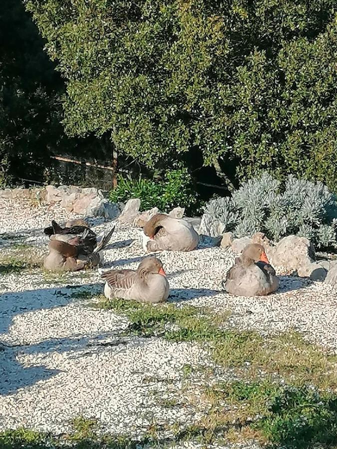 Entre Ciel Et Terre Holiday home Besse-sur-Issole